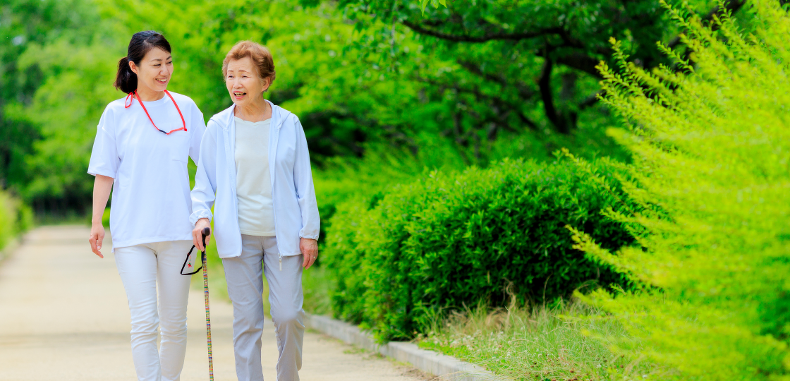 介護老人保健施設（老健）とは | 介護予防 通所リハビリ